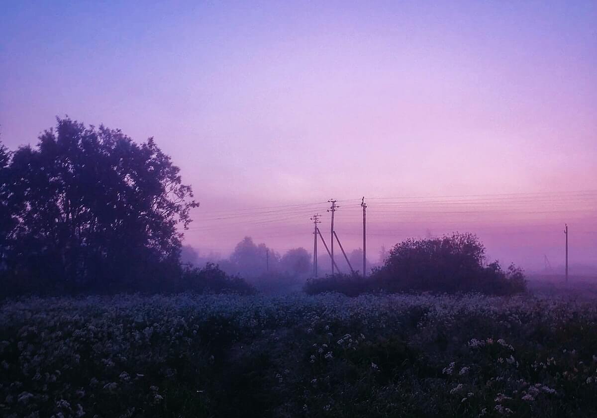 读觅圈别被一句话带跑:盯证据从哪句开始,先把图表口径写到一句话里